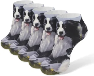Border Collie Little Around Mama 5 Pairs Low Cut Ankle Socks for Men Women Athletic Running Socks No Show Breathable